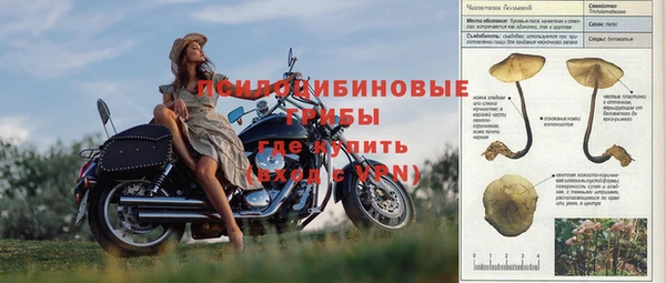 прущая мука Бородино