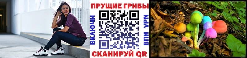 blacksprut ССЫЛКА  Бронницы  Псилоцибиновые грибы прущие грибы  где можно купить наркотик 